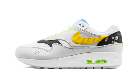 Air Max 1 "Daisy Pack" CW6031 100