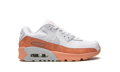 Air Max LTR 90 GS "White Light Madder Root" DM0956 100