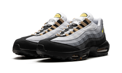 Air Max 95 "ICONS" DX4236 100
