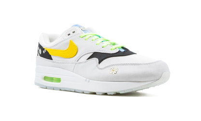 Air Max 1 "Daisy Pack" CW6031 100