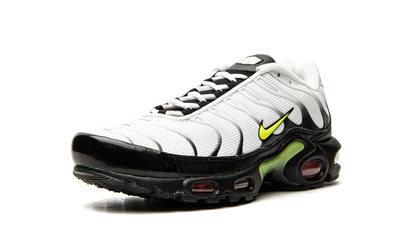 Air Max Plus "Retro Future" AJ2013 100