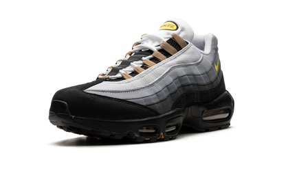 Air Max 95 "ICONS" DX4236 100