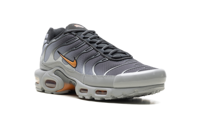 Air Max Plus "Light Smoke Grey Hot Curry" DM0032 037