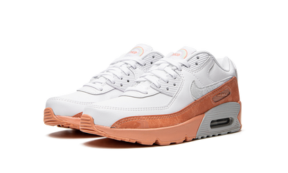 Air Max LTR 90 GS "White Light Madder Root" DM0956 100