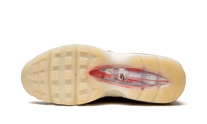 Air Max 95 QS "Anatomy of Air" DM0012 600