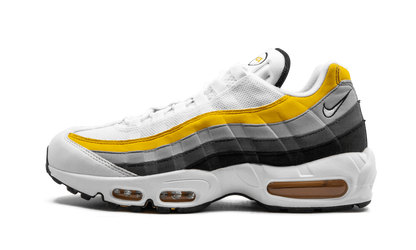Air Max 95 CD7495 100
