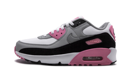 Air Max 90 LTR (GS) "Rose Pink" CD6864 104