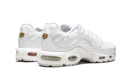 Air Max Plus "Triple Black" AJ2029 001