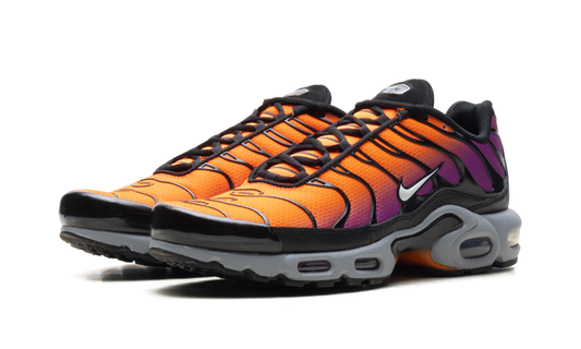 Air Max Plus "Desert Sunset" DM0032 014