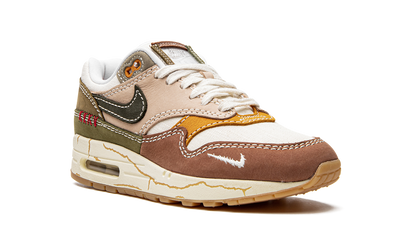 Air Max 1 Premium "Wabi-sabi" DQ8656 133