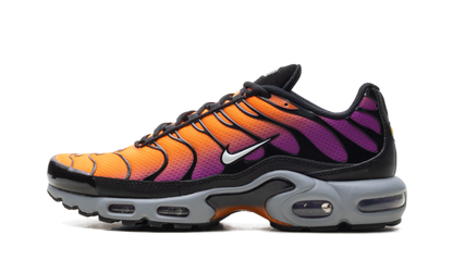 Air Max Plus "Desert Sunset" DM0032 014