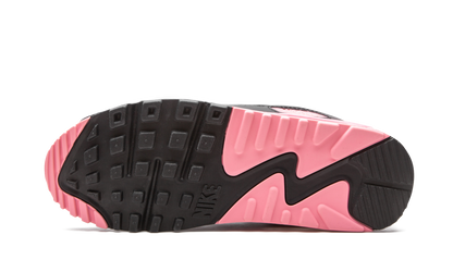 Air Max 90 W "Rose" CD0490 102