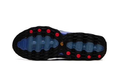 Air Max Dn8 "Patta - Game Royal" IB4029 400