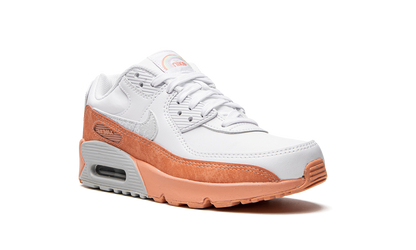 Air Max LTR 90 GS "White Light Madder Root" DM0956 100