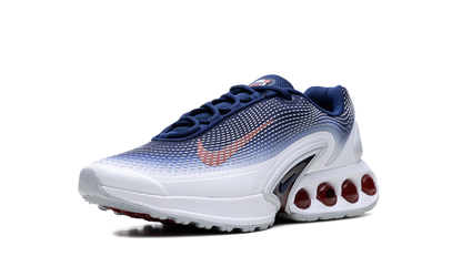 Air Max Dn "Team USA" FV2250 100