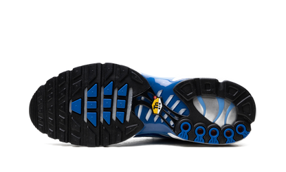 Air Max Plus "Light Streaks" DZ3531 400