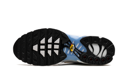 Air Max Plus "White University Blue" DM0032 101