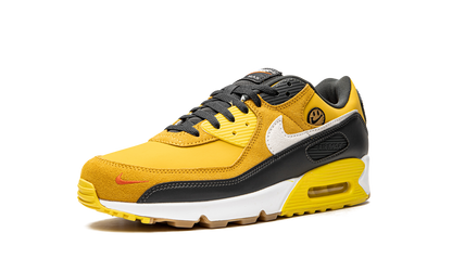 Air Max 90 "Go The Extra Smile" DO5848 700
