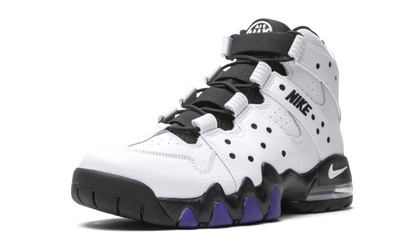 Air Max2 CB '94 "White / Varsity Purple" DD8557 100