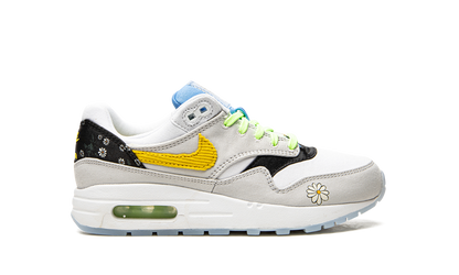 Air Max 1 GS "Daisy Pack" CW5861 100