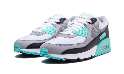 Air Max 90 "Turquoise" CD0881 100