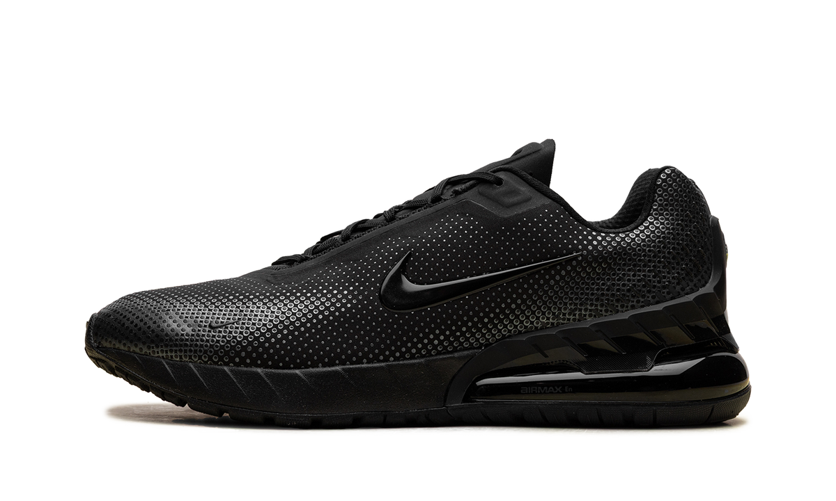 Air Max Phoenix "Black Anthracite" FZ5307 004