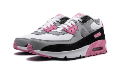 Air Max 90 LTR (GS) "Rose Pink" CD6864 104