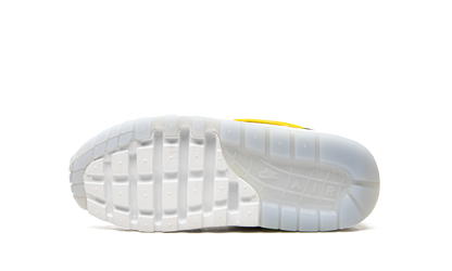 Air Max 1 GS "Daisy Pack" CW5861 100