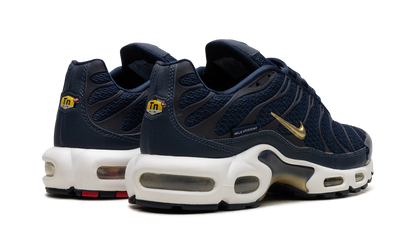 Air Max Plus "FFF" fb3350 400