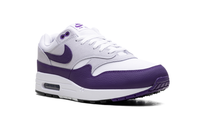 Air Max 1 SC "Field Purple" DZ4549 101