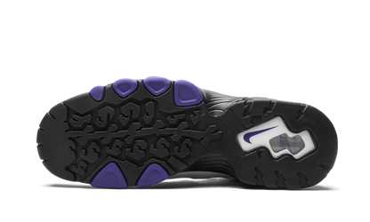 Air Max2 CB '94 "White / Varsity Purple" DD8557 100