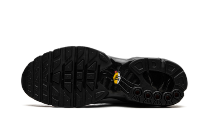 Air Max Plus "Wolf Grey" HM6850 001