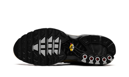 AIR MAX PLUS "Black" FB9722-700