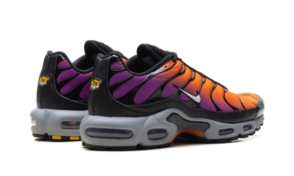 Air Max Plus "Desert Sunset" DM0032 014