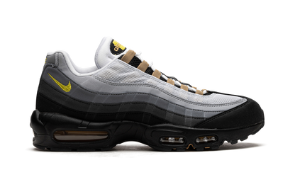 Air Max 95 "ICONS" DX4236 100