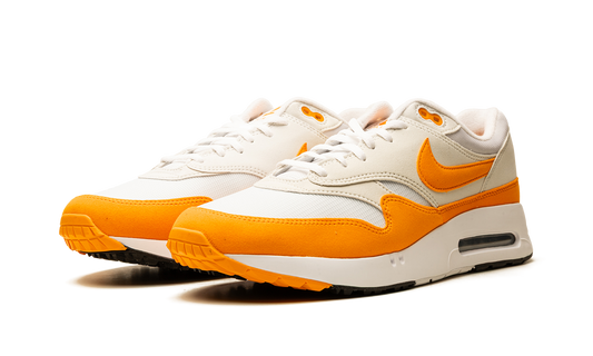 AIR MAX 1 '86 OG GOLF "Bright Ceramic" DV1403 118
