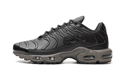 Air Max Plus "Black Tea / Petra Brown" "Black Tea / Petra Brown" HJ4519 200