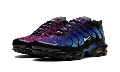 Air Max Plus "25th Anniversary" FV0393 001